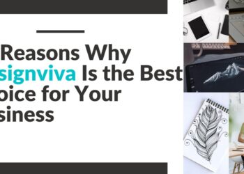 10 Reasons Why Designviva Is the Best Choice for Your Business