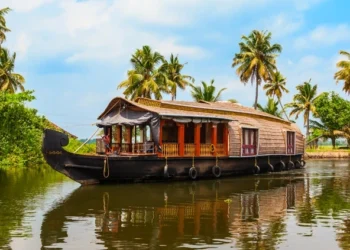 Backwaters of Kerala: A Soulful Escape into Nature’s Lap