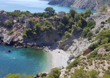 Hydrahd: The Next Big Thing in Hydration Technology