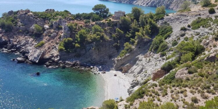 Hydrahd: The Next Big Thing in Hydration Technology