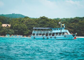 5 Reasons Why Veneajelu is the Key to Achieving Your Dream Smile