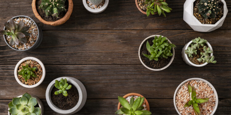 Staging on a Budget: 5 Easy Decor Tweaks That Boost Curb Appeal