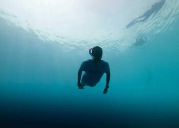 Diving in Maldives Cost: What to Expect and How to Plan Your Trip