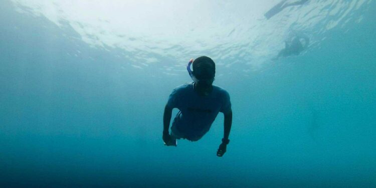 Diving in Maldives Cost: What to Expect and How to Plan Your Trip