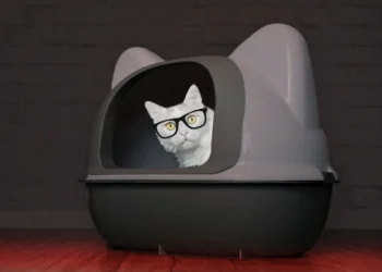 Catturd Twitter: Why This Feline Meme is Captivating Millions