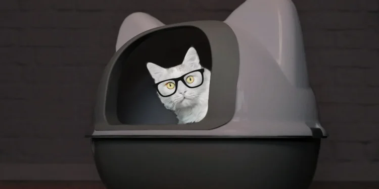 Catturd Twitter: Why This Feline Meme is Captivating Millions