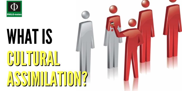 Assimilation: The Process of Cultural Integration