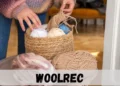Why Choose Woolrec? Exploring the Benefits of Eco-Friendly Wool Solutions