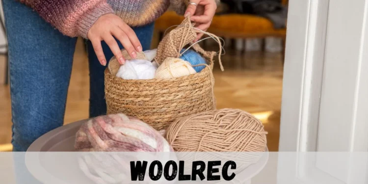 Why Choose Woolrec? Exploring the Benefits of Eco-Friendly Wool Solutions