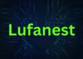 Lufanest: Discovering Its Unique Charms