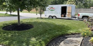 The Real Difference Professional Lawn Care Services Make
