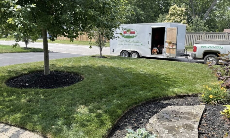 The Real Difference Professional Lawn Care Services Make