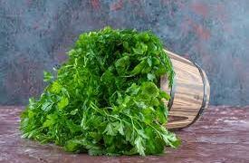 Pravi Celer: The Healthiest Celery You’ve Never Tried