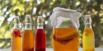 Sodziu: A Hidden Gem in Culinary Delights