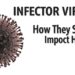 Infector Viruses: How They Spread and Impact Health