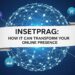 Insetprag: How It Can Transform Your Online Presence
