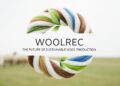 Woolrec: The Future of Sustainable Wool Production